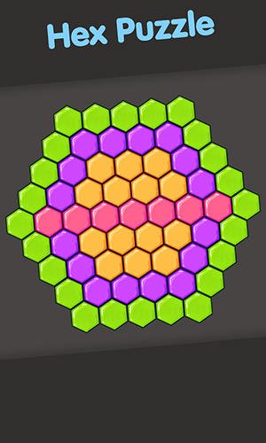 game pic for Hex puzzle classic